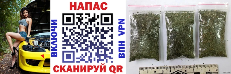 Сколько стоит Новосиль АМФ  КОКАИН  MDMA  Мефедрон  Лсд 25  ГАШИШ  Марихуана 