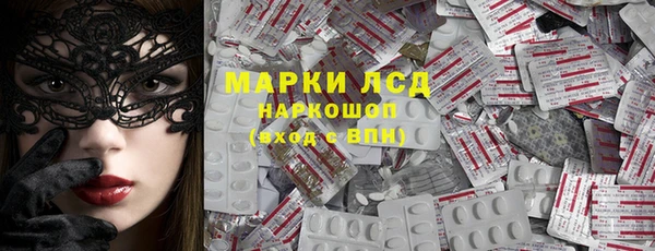 хмурый Нефтекумск