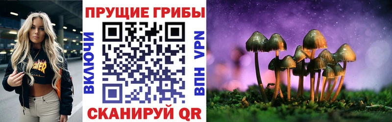 Галлюциногенные грибы Magic Shrooms закладка Новосиль